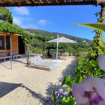 Elba Mare & Relax Vila